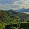 Feluca Porto