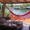 Fig Tree Riverfront Cabin