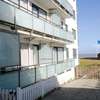 Schwertmuschel - modern und strandnah