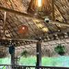 Eco Resort Hotel
