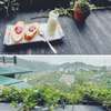 Andalat Homestay