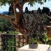 Le donne di Capri - Charming apartments in Capri