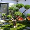 Le Clos des Fantaisies