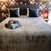 Luxury Suites Ambassador
