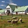 Farma Hvozd