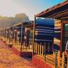 Bedouin Story camp and tour