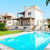Villa Prosperity Limni by Villa Plus