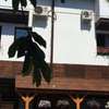 BOUTIQUE VILLA 84