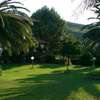 Casavita 1