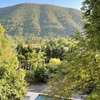 Les Dames de Saint Florent