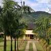 Camacica