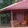 Rose House