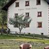 Naturhotel Saalerwirt
