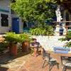 Tree of Life - Hostel