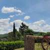 Agriturismo La Palma