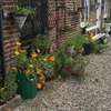 Yarm cottages the byre