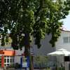 Atrium Gästezimmer und Restaurant - Hohenau an der