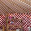 Alder Yurt Wych Elm Glamping
