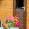 Schlaffass Campingplatz Nordbrock