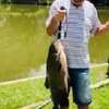 Sitio Renovo Descanso com Pesca Esportiva Juquitib