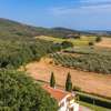 Locazione Turistica I Limoni