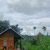 Agronest Farm
