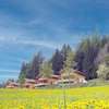 Hochleben-Chalets am Erlebnisbauernhof Steinerhof
