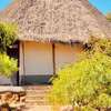 Explore Mara Camp