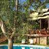 Serengeti Migration Camp