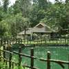 Adrak Summer Sand Hill Resort Vagamon