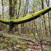Primitive Camp Heart Site