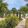 Secluded Palms