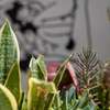 MeMeraki Artist Residency