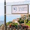La Vigna di Bacco