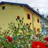B&B Rio Rai