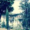 La Quercia Antica B&B