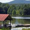 Rustic Meadow at Ladybug Lake