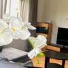 Apartamenty Raba