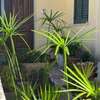 Monte Cuccu Bed & Breakfast