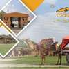 MADHAVGARH FARM & RESORT