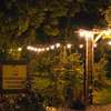 The Horrrsebox Tinyhouse Glamping