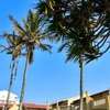 La Lucia Sands Beach Resort