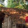 Bindhya Huts