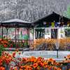 Himtrek Stays and Camps, Jibhi