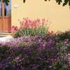 Agriturismo I Ciliegi Appartamento Ginestra