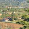 Rustico del vigneto