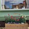 Birchlea Caravan