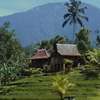 D'Ume Bendoel Homestay