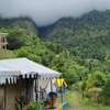Jungle Live Inn Camps & Resorts