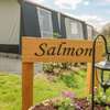 The Salmon